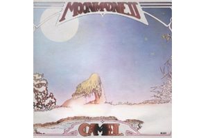 CAMEL_MOONMADNESS