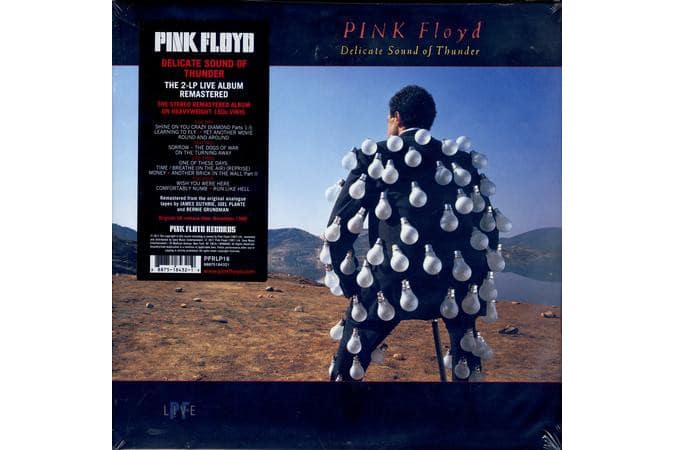 Pink Floyd - Delicate Sound of Thunder