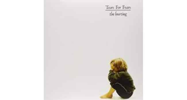 Tears For Fears the Hurting